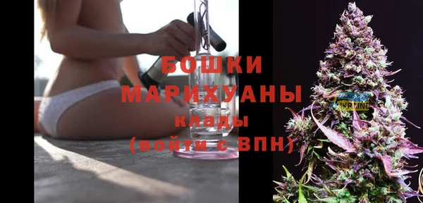 ешки Каменногорск