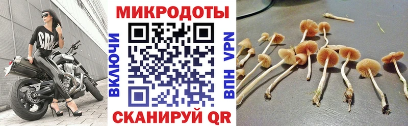 где можно купить kraken сайт Галлюциногенные грибы ЛСД Монино